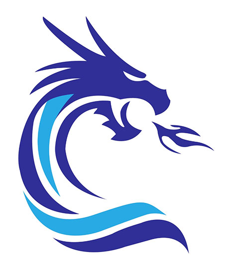 A sharp illustration of a dragon